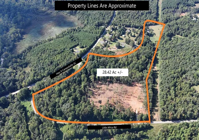 Homes for sale in Campobello, SC | 00 Little Africa Rd, Campobello, SC 29322 | MLS# SPN339033