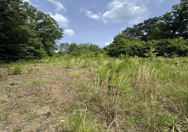 5th image of 659 Dovefield Rd, Cross Hill, SC 29332 | MLS# SPN339038
