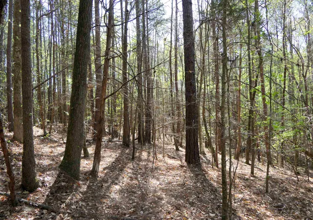 Homes for sale in Enoree, SC | 730 Browning Road, Enoree, SC 29335 | MLS# SPN339084