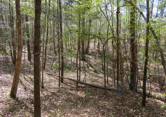 Homes for sale in Enoree, SC | 730 Browning Road, Enoree, SC 29335 | MLS# SPN339084