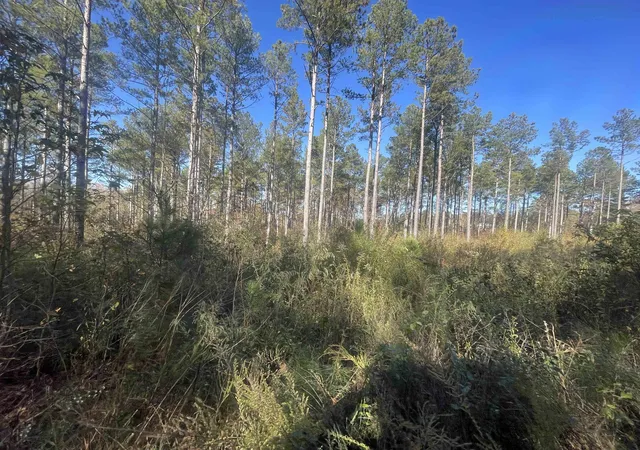 5th image of 1944 Dr John's Rd, Westminster, SC 29693 | MLS# SPN339140