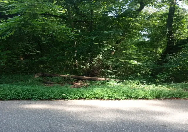 Photo 1 of Land for sale at 0 Cole Rd, Campobello, SC 29322 | MLS# SPN339173 | Listing updated on 2026-08-28