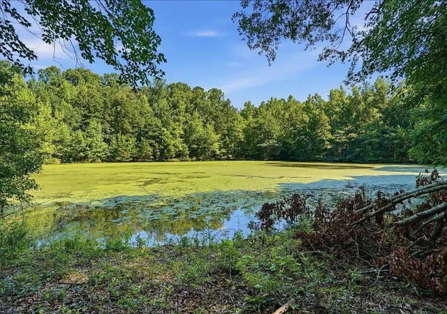 3rd image of 3006 Harris Bridge Rd, Woodruff, SC 29388 | MLS# SPN339281