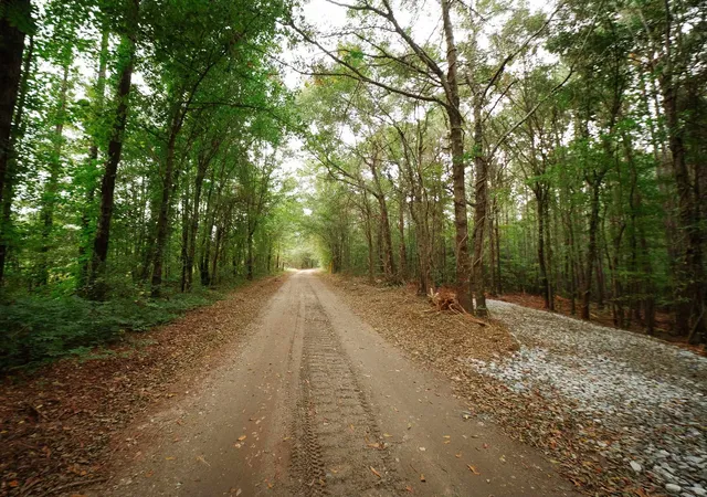 Land for sale at 0 Gene Fleming Rd, Iva, SC 29655 | MLS# SPN340489