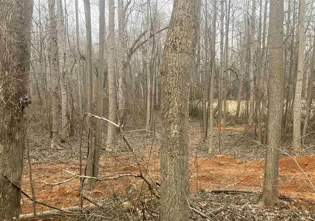 Photo 3 of Land for sale at 159 Rockingham Rd, Duncan, SC 29334 | MLS# SPN340982 | Listing updated on 2026-08-27