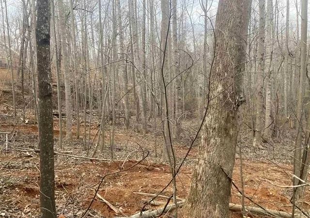 Photo 4 of Land for sale at 159 Rockingham Rd, Duncan, SC 29334 | MLS# SPN340982 | Listing updated on 2026-08-27