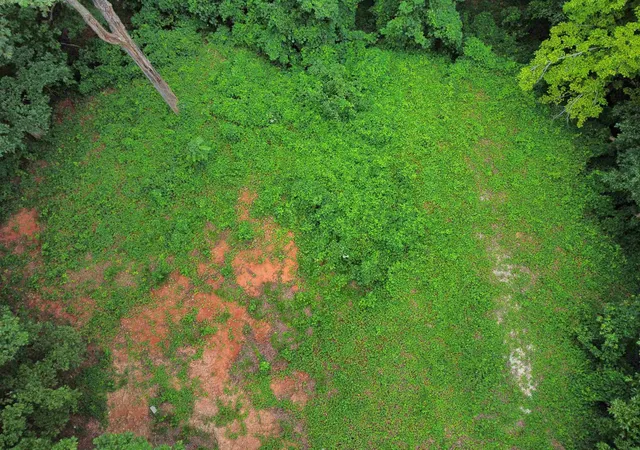 Photo 3 of Land for sale at 300 Goforth Rd, Landrum, SC 29356 | MLS# SPN340990 | Listing updated on 2026-08-28