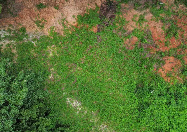 Photo 4 of Land for sale at 300 Goforth Rd, Landrum, SC 29356 | MLS# SPN340990 | Listing updated on 2026-08-28