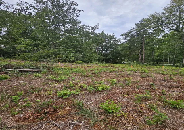 Photo 4 of Sale Pending at 1138 Belue Mill Rd, Landrum, SC 29356 | MLS# SPN341036 | Listing updated on 2026-10-17