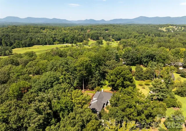 3rd image of 159 Silver Fox Ln, Tryon, NC 28782 | MLS# SPN341114