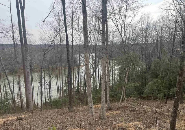 Photo 2 of Land for sale at Lot 2 Buck Crk Rd, Chesnee, SC 29323 | MLS# SPN341293 | Listing updated on 2026-09-04