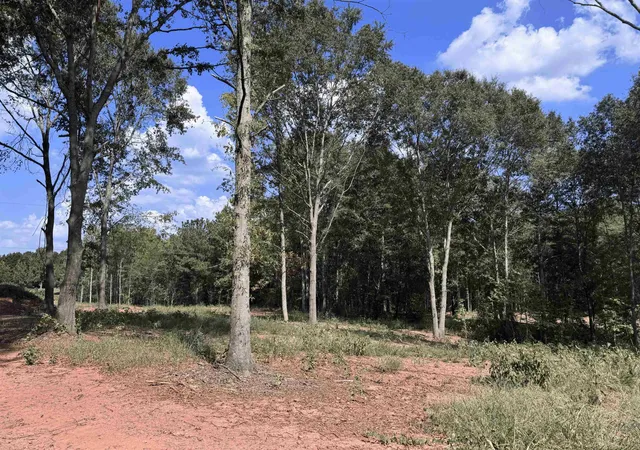 Land for sale at 960 Clark Rd, Inman, SC 29349 | MLS# SPN341395