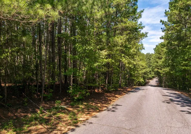 Photo 2 of Land for sale at 00 Hidden Springs Way, Cross Hill, SC 29332 | MLS# SPN341760 | Listing updated on 2026-09-16
