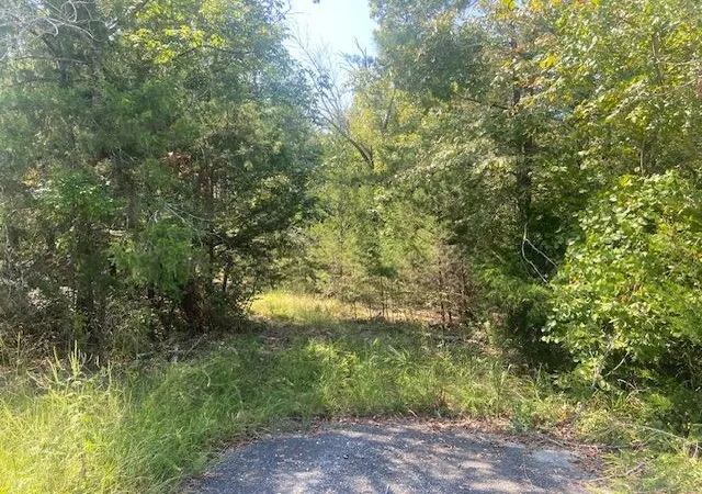 Land for sale at 225 Bancroft Rd, Gaffney, SC 29340 | MLS# SPN341936