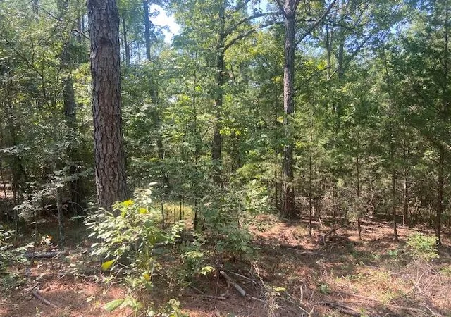 Photo 2 of Land for sale at 225 Bancroft Rd, Gaffney, SC 29340 | MLS# SPN341936 | Listing updated on 2026-09-21