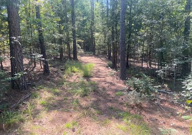 Photo 3 of Land for sale at 225 Bancroft Rd, Gaffney, SC 29340 | MLS# SPN341936 | Listing updated on 2026-09-21