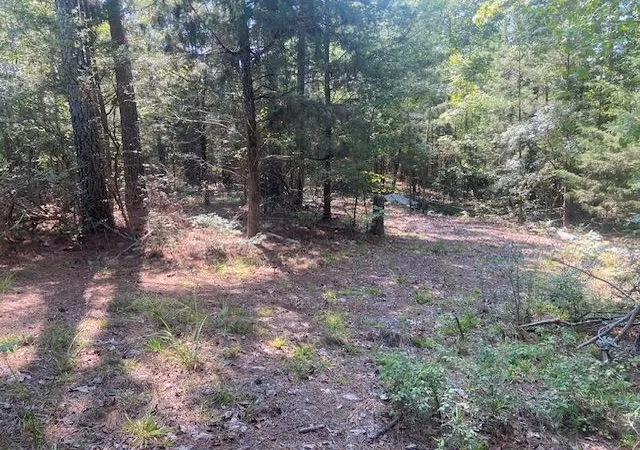 Photo 3 of Land for sale at 225 Bancroft Rd, Gaffney, SC 29340 | MLS# SPN341936 | Listing updated on 2026-09-21