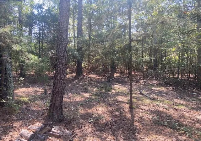 Photo 4 of Land for sale at 225 Bancroft Rd, Gaffney, SC 29340 | MLS# SPN341936 | Listing updated on 2026-09-21