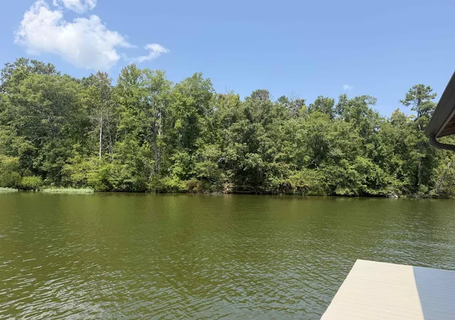 Photo 1 of Single family home for sale at 798 Isle Of Pine Cir, Waterloo, SC 29384 | MLS# SPN341965 | Listing updated on 2026-10-02