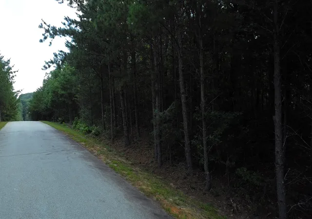 Photo 2 of Land for sale at 275 Kincaid Pl, Mill Spring, NC 28756 | MLS# SPN342009 | Listing updated on 2026-09-23