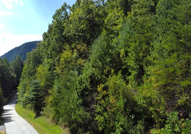 Photo 3 of Land for sale at 275 Kincaid Pl, Mill Spring, NC 28756 | MLS# SPN342009 | Listing updated on 2026-09-23