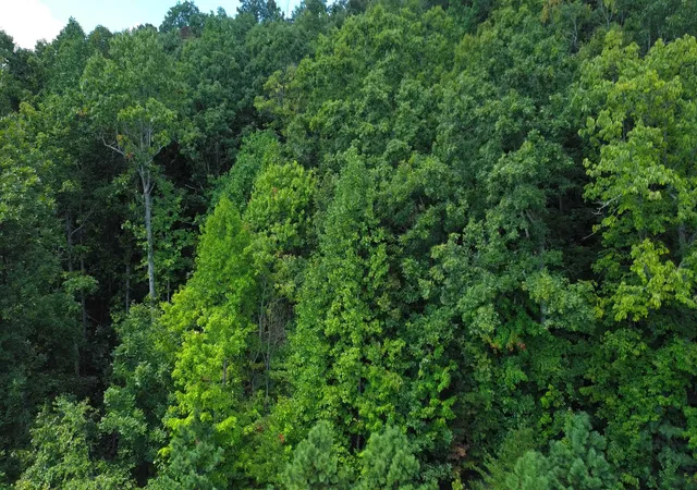 Photo 4 of Land for sale at 275 Kincaid Pl, Mill Spring, NC 28756 | MLS# SPN342009 | Listing updated on 2026-09-23