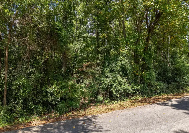 Photo 3 of Land for sale at 112 Benjamin St, Greenwood, SC 29646 | MLS# SPN342012 | Listing updated on 2026-09-23
