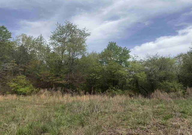 Photo 4 of Land for sale at 240 Overhead Brg Rd, Chesnee, SC 29323 | MLS# SPN342048 | Listing updated on 2026-09-23