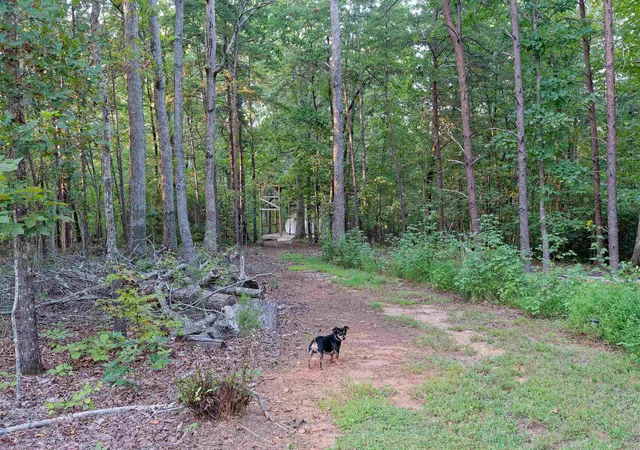 Photo 1 of Land for sale at 700 N Trade (c) Ave, Landrum, SC 29356 | MLS# SPN342049 | Listing updated on 2026-09-25