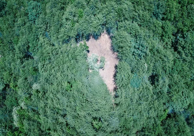 Photo 2 of Land for sale at 2109 Tract A Riddle Rd, Pauline, SC 29374 | MLS# SPN342223 | Listing updated on 2026-09-27