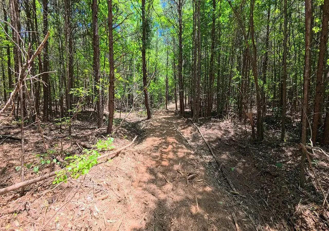 Photo 1 of Land for sale at 2109 Tract C Riddle Rd, Pauline, SC 29374 | MLS# SPN342227 | Listing updated on 2026-09-27