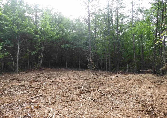 Photo 1 of Land for sale at 2109 Tract C&d Riddle Rd, Pauline, SC 29374 | MLS# SPN342229 | Listing updated on 2026-09-27