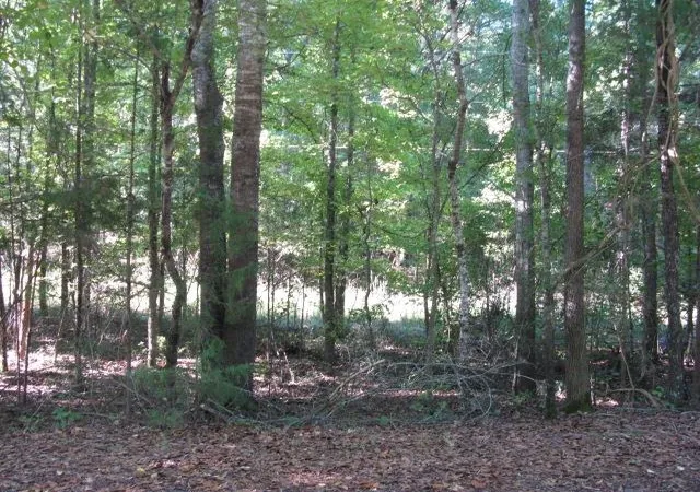 Photo 1 of Sale Pending at 0 Gossett Rd, Woodruff, SC 29388 | MLS# SPN342252 | Listing updated on 2026-10-01
