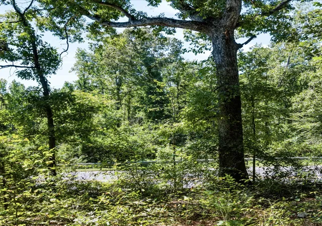 Photo 2 of Sale Pending at 2861 Whitestone Glendale Lot E Rd, Spartanburg, SC 29302 | MLS# SPN342268 | Listing updated on 2026-10-04