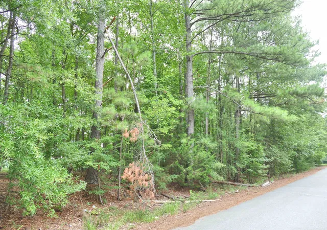 Photo 2 of Land for sale at 131 Tumbleweed Dr, Gaffney, SC 29340 | MLS# SPN342272 | Listing updated on 2026-09-30