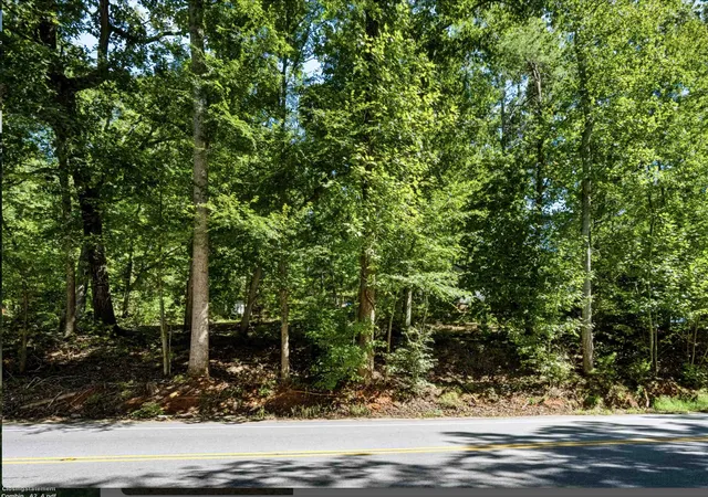 Photo 4 of Land for sale at 2861 Whitestone Glendale Rd, Spartanburg, SC 29302 | MLS# SPN342319 | Listing updated on 2026-10-09