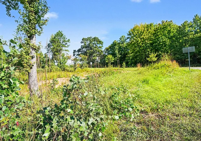 Photo 3 of Land for sale at 110 Spivey Crk Rd, Landrum, SC 29356 | MLS# SPN342424 | Listing updated on 2026-10-07