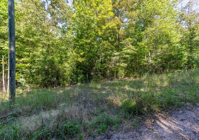 Photo 3 of Land for sale at 0 Singing Oaks, Mountain Rest, SC 29664 | MLS# SPN342426 | Listing updated on 2026-10-04