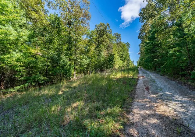 Photo 3 of Land for sale at 0 Singing Oaks, Mountain Rest, SC 29664 | MLS# SPN342426 | Listing updated on 2026-10-04