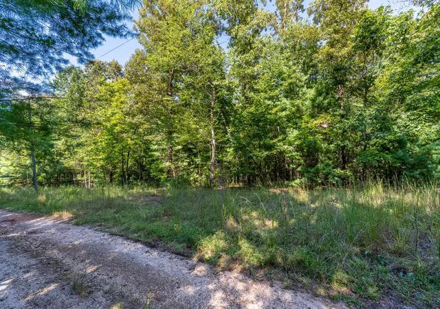 Photo 4 of Land for sale at 0 Singing Oaks, Mountain Rest, SC 29664 | MLS# SPN342426 | Listing updated on 2026-10-04
