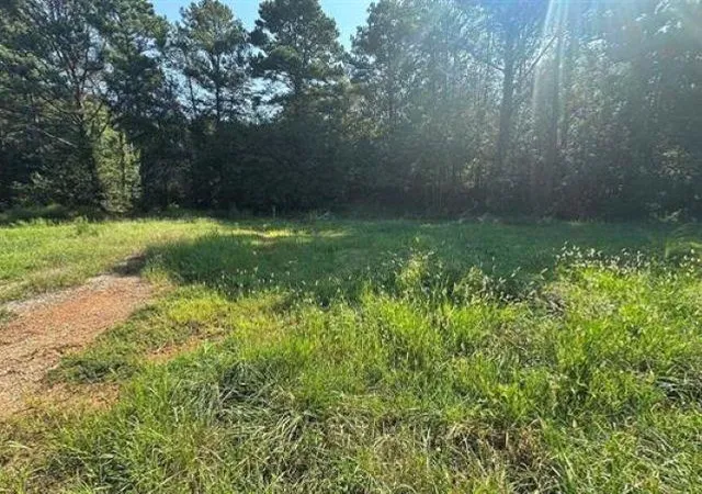 Photo 4 of Land for sale at 162 Lancaster Rd, Forest City, NC 28043 | MLS# SPN342471 | Listing updated on 2026-10-05