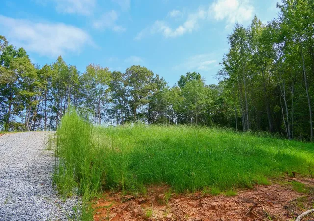Photo 4 of Land for sale at Smith Chapel Rd, Campobello, SC 29322 | MLS# SPN342501 | Listing updated on 2026-10-05