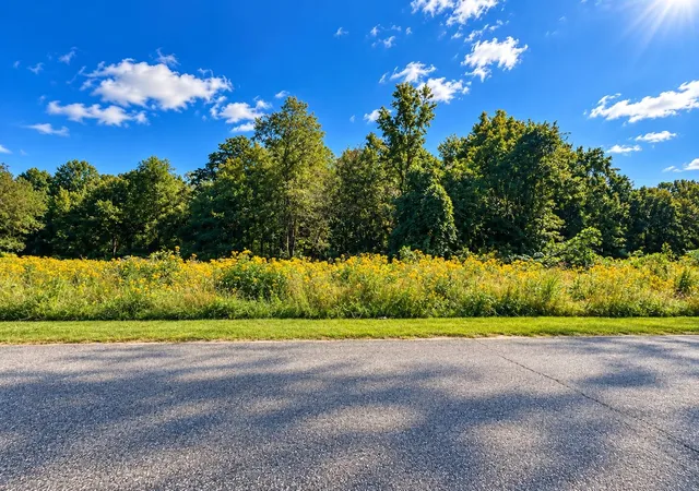 Photo 2 of Land for sale at 526 Wilkins Frd Rd, Inman, SC 29349 | MLS# SPN342607 | Listing updated on 2026-10-09