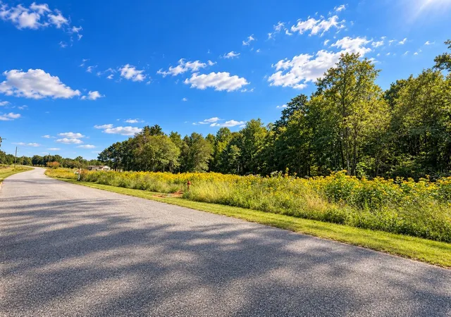 Photo 4 of Land for sale at 528 Wilkins Frd Rd, Inman, SC 29349 | MLS# SPN342608 | Listing updated on 2026-10-09