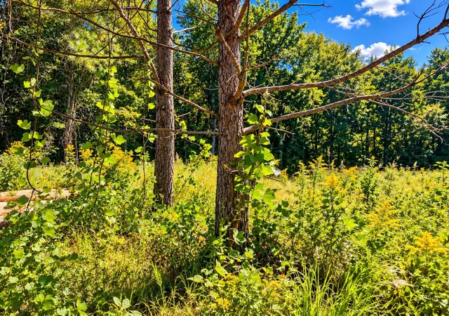 Photo 3 of Land for sale at 532 Wilkins Frd Rd, Inman, SC 29349 | MLS# SPN342609 | Listing updated on 2026-10-09