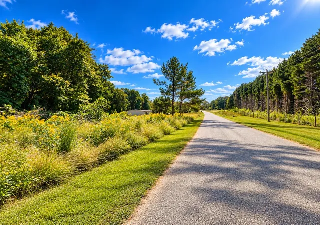 Photo 3 of Land for sale at 534 Wilkins Frd Rd, Inman, SC 29349 | MLS# SPN342611 | Listing updated on 2026-10-09