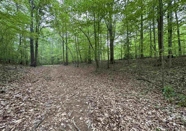 Photo 1 of Land for sale at 0 Thompson St, Gaffney, SC 29340 | MLS# SPN342615 | Listing updated on 2026-10-09