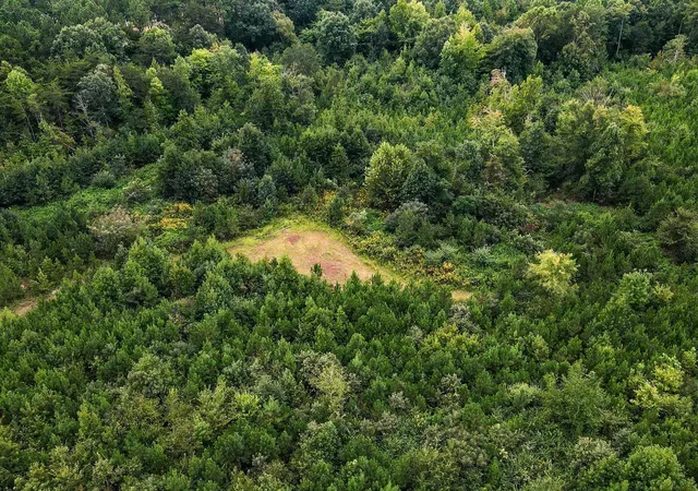 Photo 3 of Land for sale at Hammett Grv Rd, Spartanburg, SC 29307 | MLS# SPN342712 | Listing updated on 2026-10-14