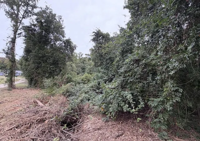 Photo 1 of Land for sale at 0 E Georgia Rd, Woodruff, SC 29388 | MLS# SPN342729 | Listing updated on 2026-10-14