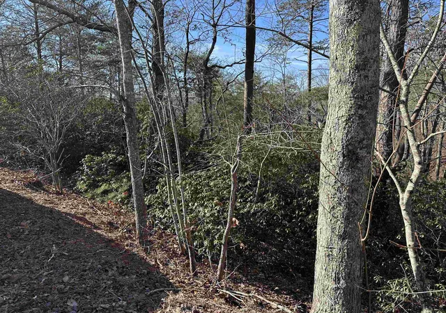 Land for sale at 00 Caledonia Rd, LANDRUM, SC 29356 | MLS# SPN342832